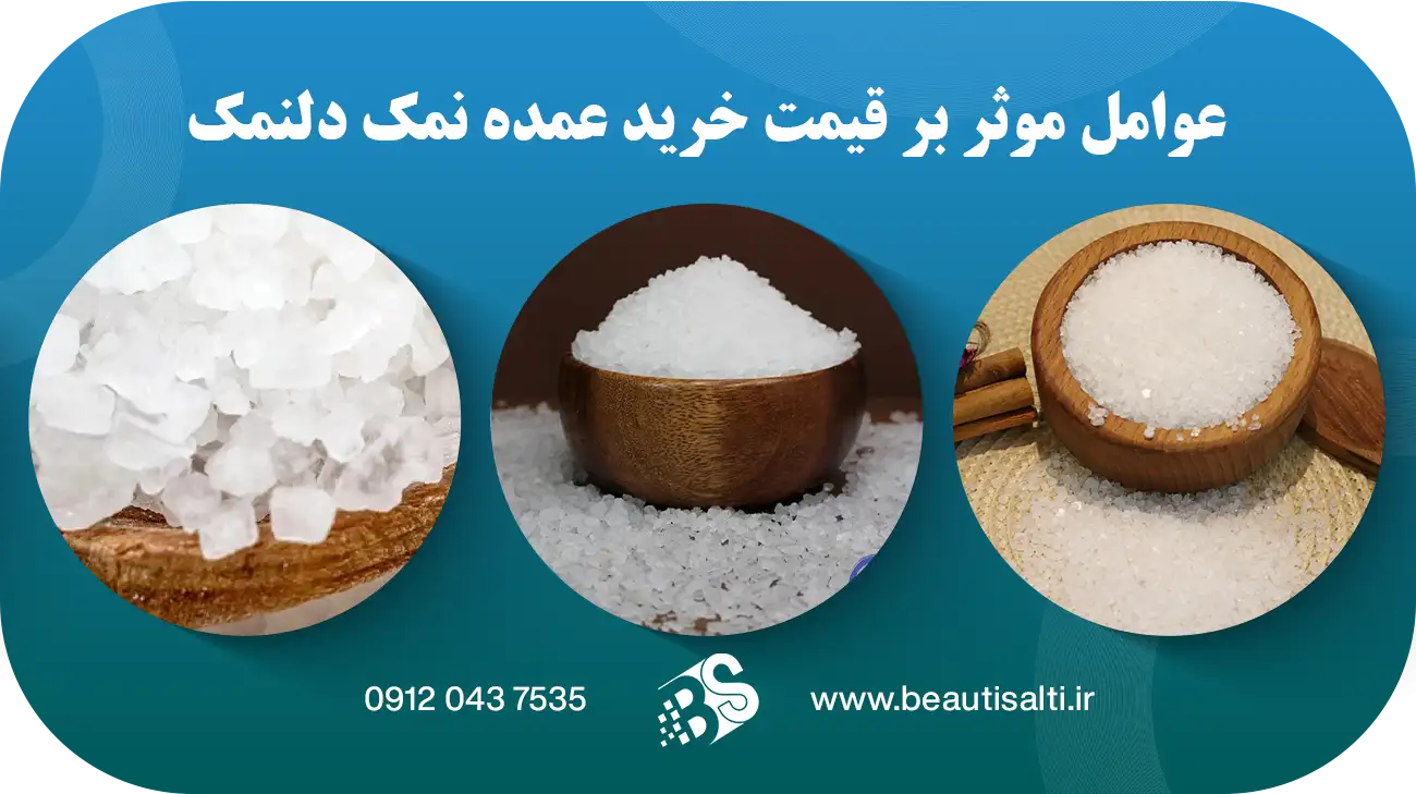 عوامل موثر بر قیمت خرید عمده نمک دلنمک