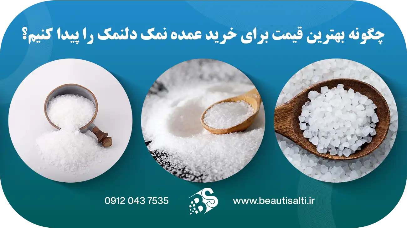 چگونه بهترین قیمت برای خرید عمده نمک دلنمک را پیدا کنیم
